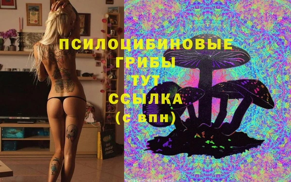 крисы Кинешма
