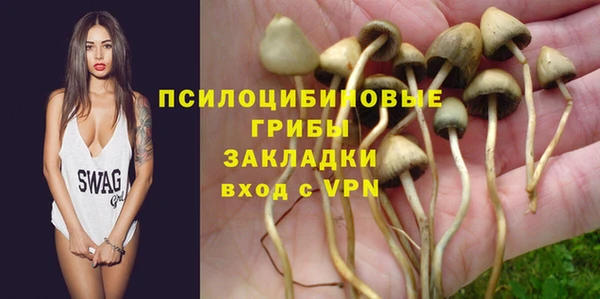 твердый Киреевск